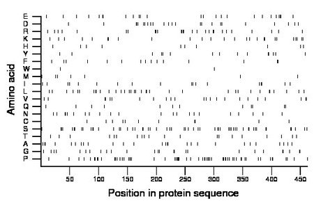 amino acid map