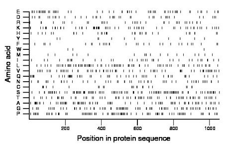 amino acid map