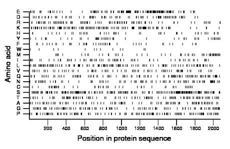 amino acid map