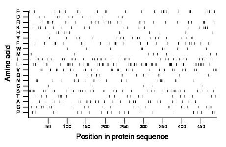 amino acid map