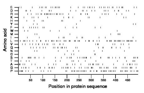 amino acid map