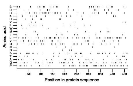 amino acid map