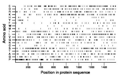 amino acid map