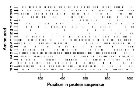 amino acid map