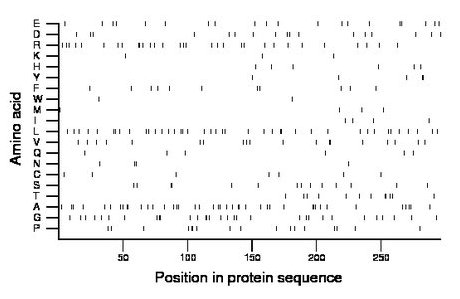 amino acid map