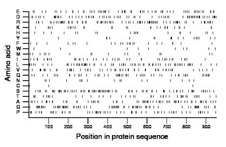 amino acid map