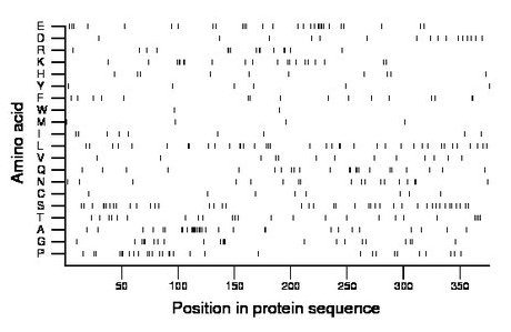 amino acid map