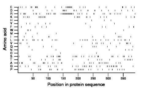 amino acid map