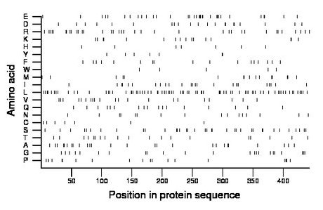 amino acid map