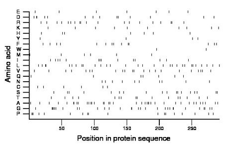 amino acid map