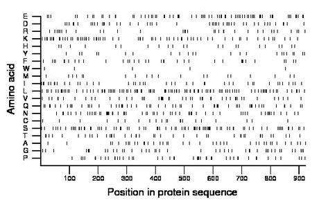 amino acid map