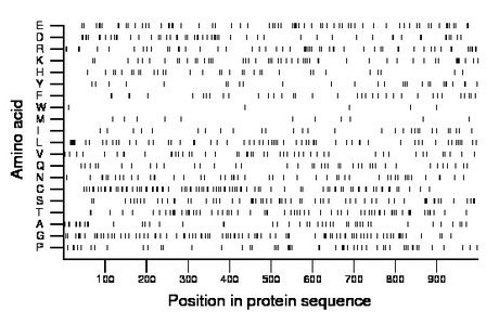 amino acid map