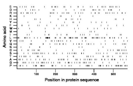 amino acid map