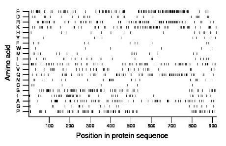 amino acid map