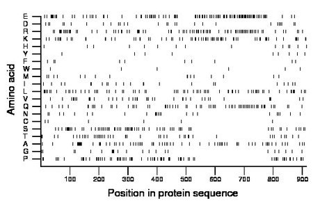 amino acid map