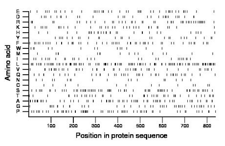 amino acid map