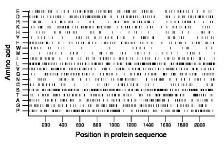 amino acid map