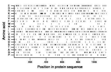 amino acid map