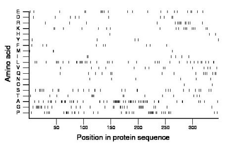 amino acid map