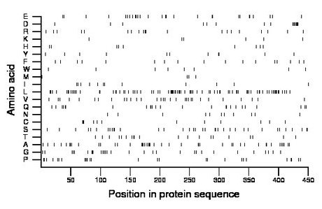 amino acid map