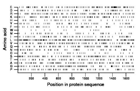 amino acid map