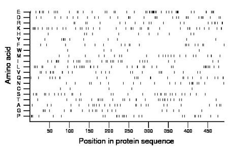 amino acid map