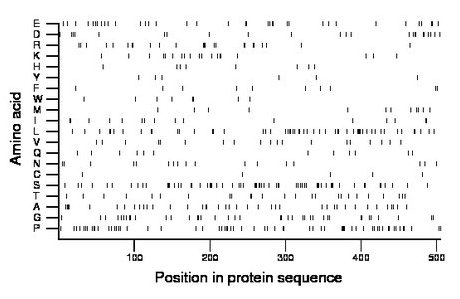 amino acid map