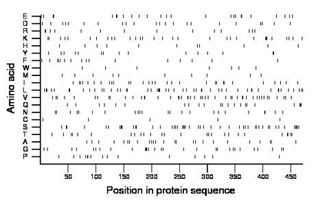 amino acid map