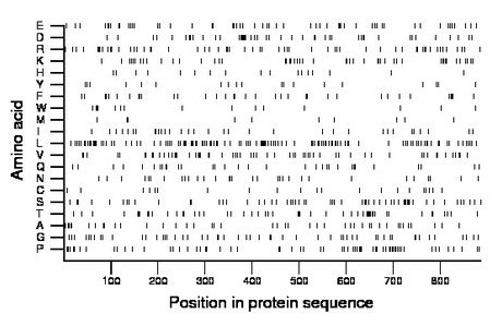 amino acid map