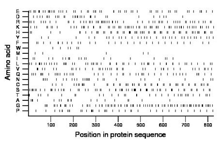 amino acid map