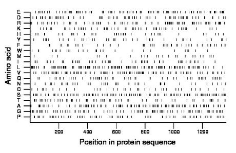 amino acid map