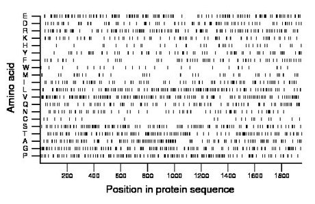 amino acid map