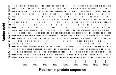 amino acid map