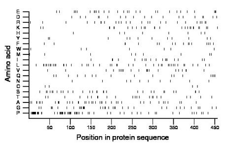 amino acid map