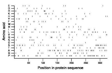 amino acid map