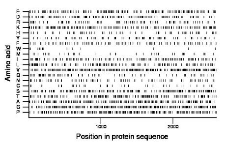 amino acid map