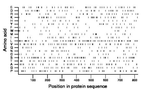 amino acid map