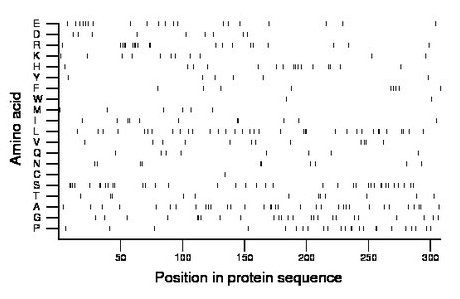 amino acid map