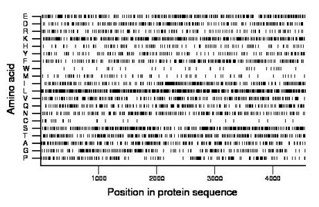 amino acid map