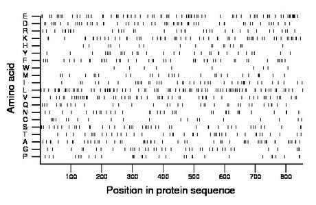 amino acid map