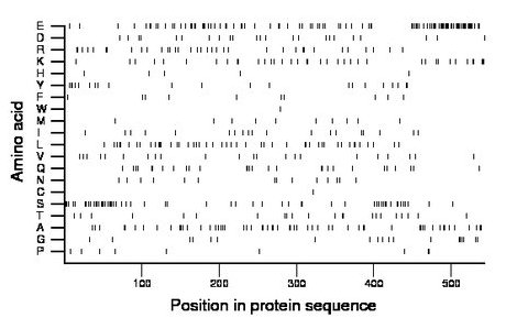 amino acid map