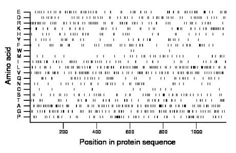 amino acid map