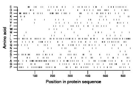 amino acid map