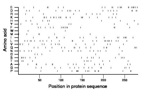 amino acid map