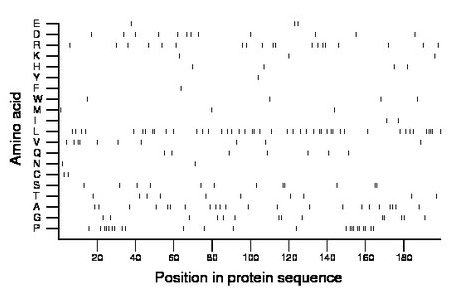 amino acid map