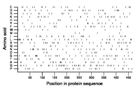 amino acid map