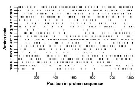 amino acid map