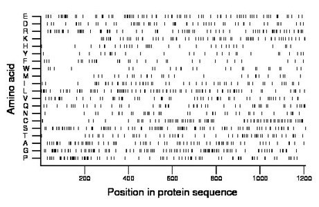 amino acid map