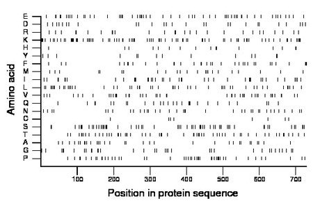 amino acid map