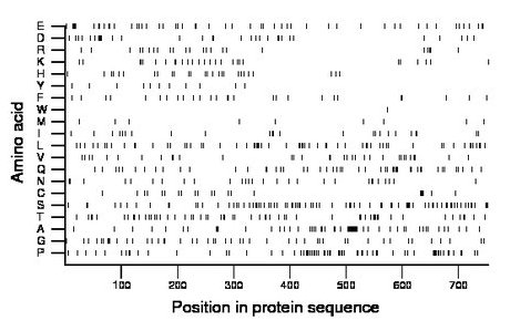 amino acid map